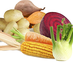 High Carbohydrate Vegetables that Could Be Affecting Your Blood Sugar and Weight Loss